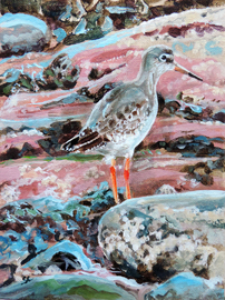 redshank painting, bird art