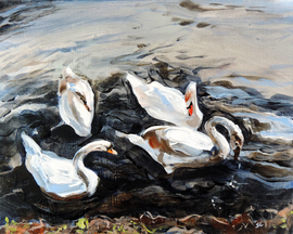 swan painting, Blackford Pond